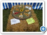 Kartoffelfest-Bild-3